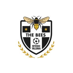 The Bees FC Logo